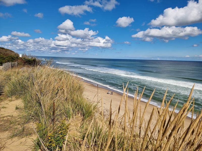 9 Incredible Massachusetts Day Trips That Are Easy On Your Wallet - Decor Hint Cape Cod National Seashore, Provincetown