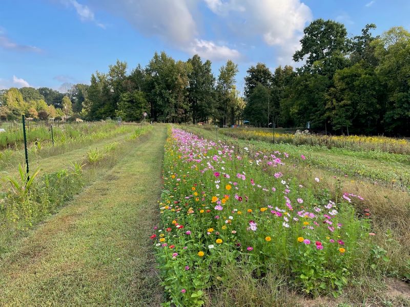 McLawland Farms