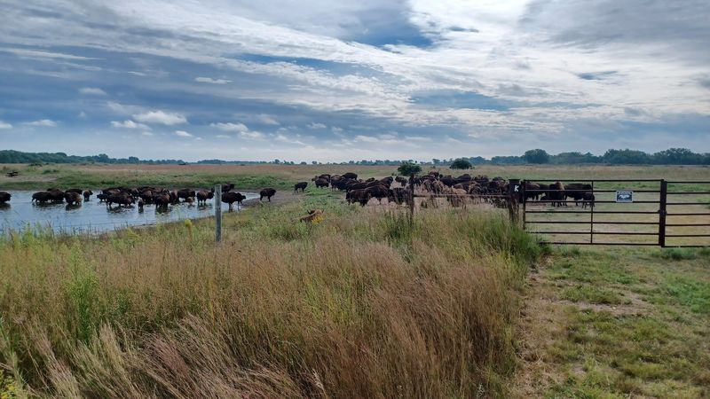 These 10 Nebraska Nature Escapes Come Alive With Wildflowers And Birds Every Summer - Decor Hint Crane Trust Nature & Visitor Center, Wood River