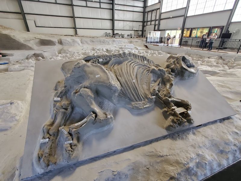 Ashfall Fossil Beds State Historical Park, Near Royal