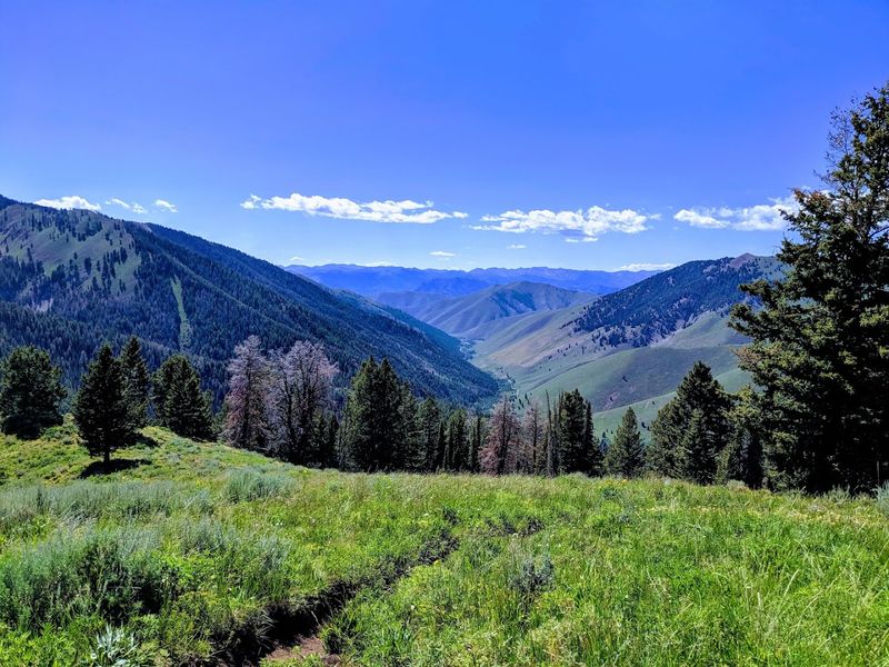 10 Idaho Outdoor Areas Where Visitors Should Stay Tick-Aware This Summer - Decor Hint Stanley / Sawtooth National Recreation Area River Corridors