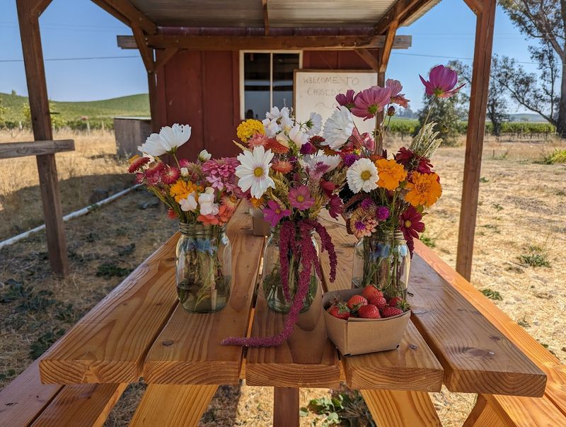 Cassidy Ranch, Sonoma County