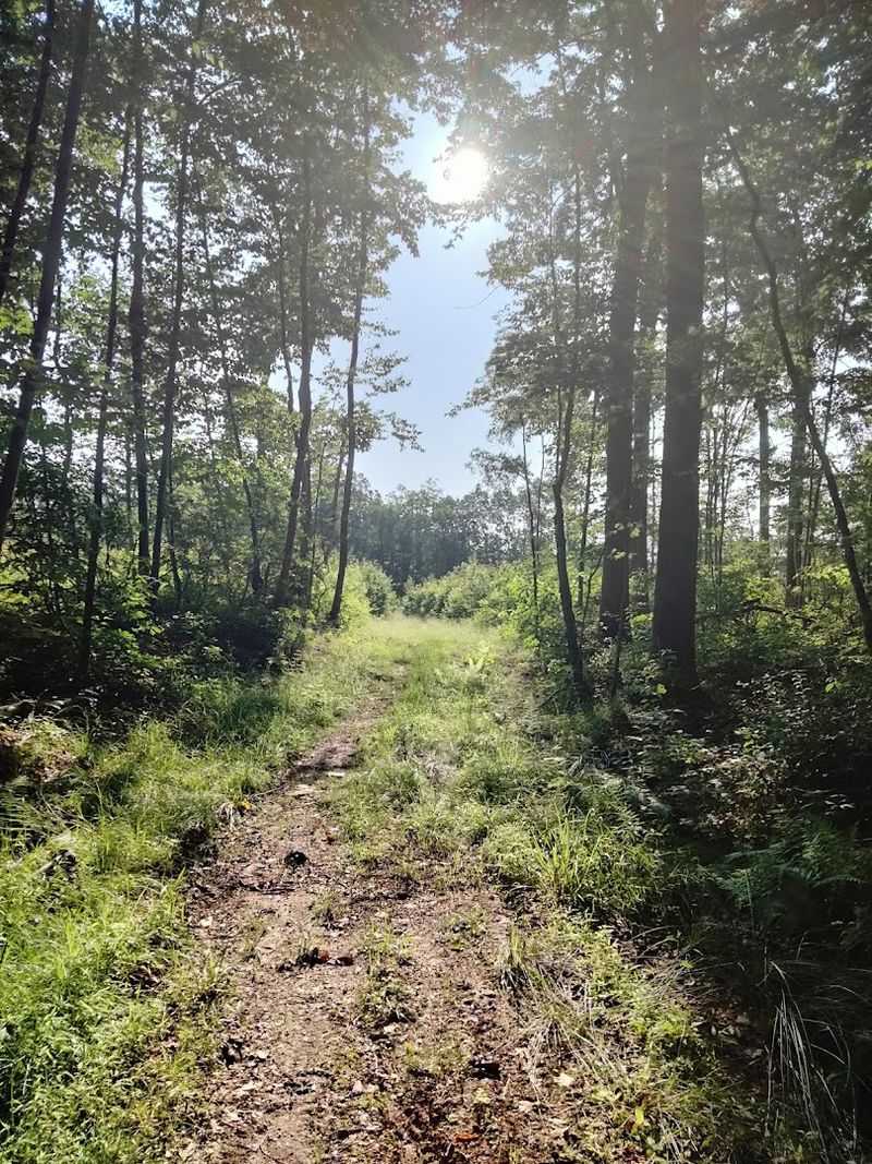 8 Quiet Hiking Trails In Connecticut That Tourists Haven't Discovered Yet - Decor Hint Risley Pond Loop Trail, Vernon