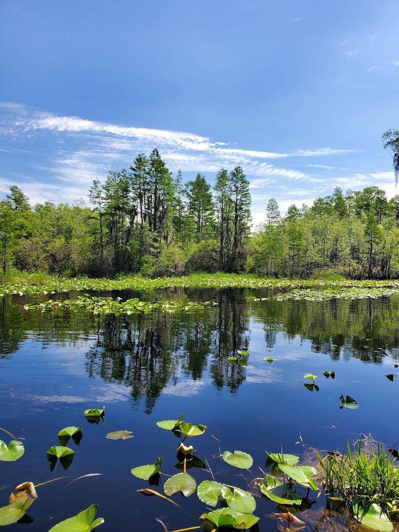 Stephen C. Foster State Park, Fargo