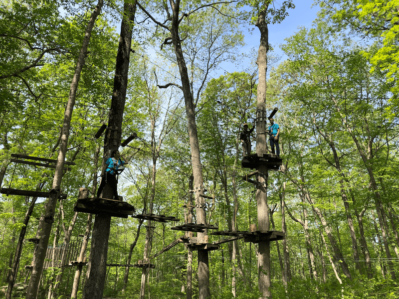 TreeTrails Adventures Mystic, Mystic