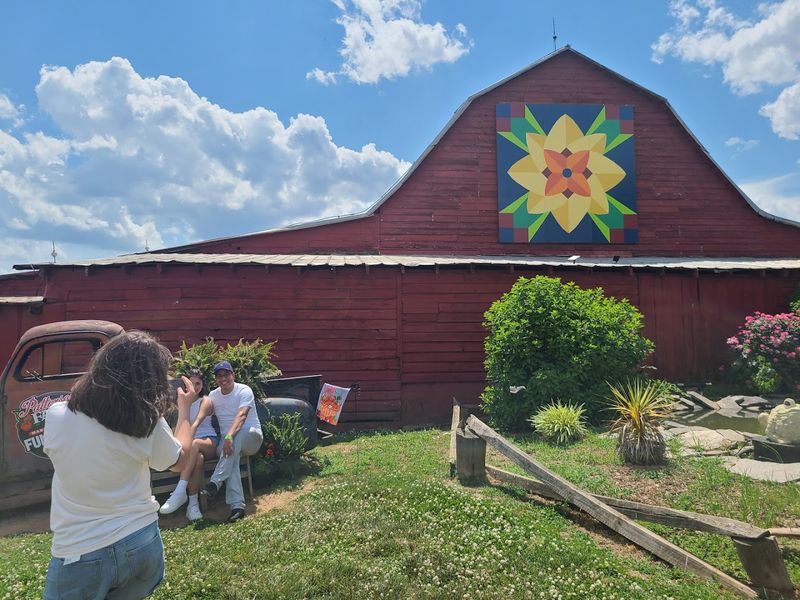 These North Carolina Blackberry Farms Are Entering Their Sweetest Picking Weeks - Decor Hint Patterson Farm Market & Tours