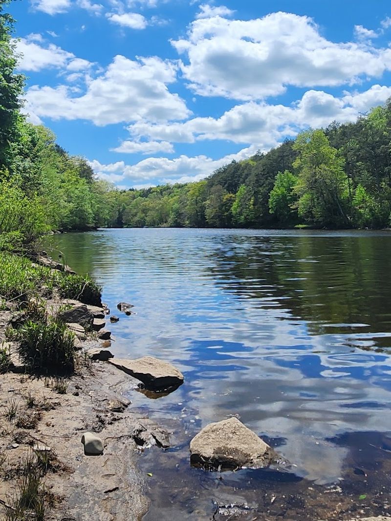 The Overlooked State Park In Connecticut You've Likely Never Heard Of - Decor Hint Riverside Scenery Changes With The Seasons