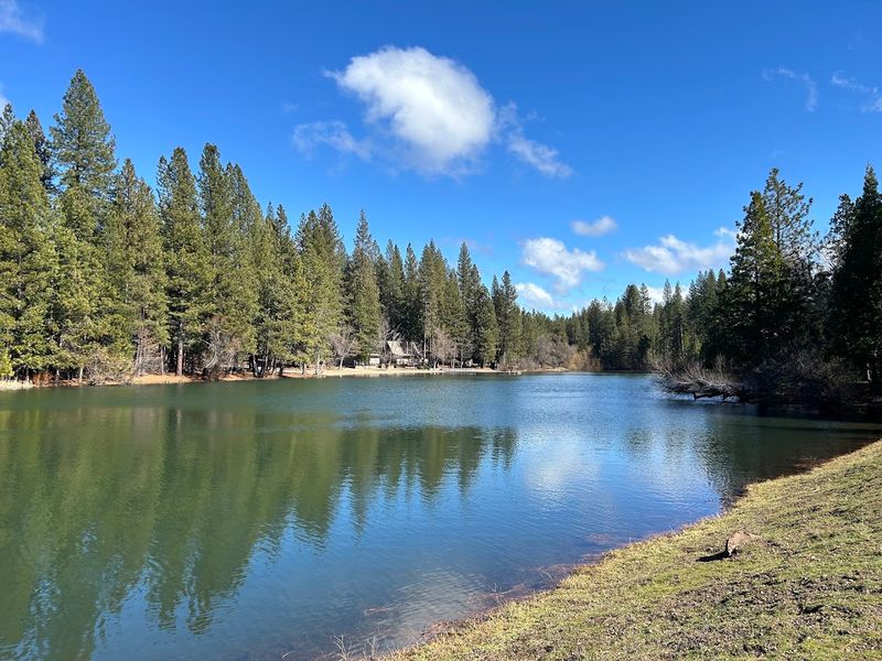13 California Mountain Towns Where Summer Heat Barely Stands A Chance - Decor Hint Arnold