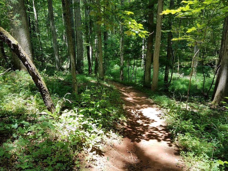 Lake Norman State Park, Troutman
