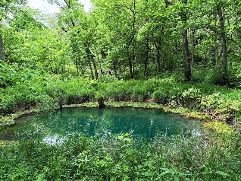 These 14 Kentucky Destinations Offer Full Vacation Experiences Without Spending Over $50 - Decor Hint McConnell Springs Park