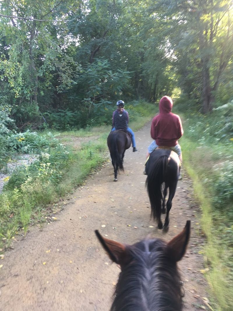 Hidden Springs Horse Rescue, Hampton