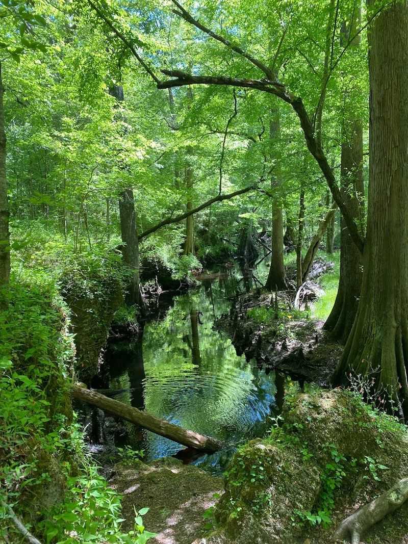 Leave With Proof That North Carolina's Coast Has Stories Buried Inland