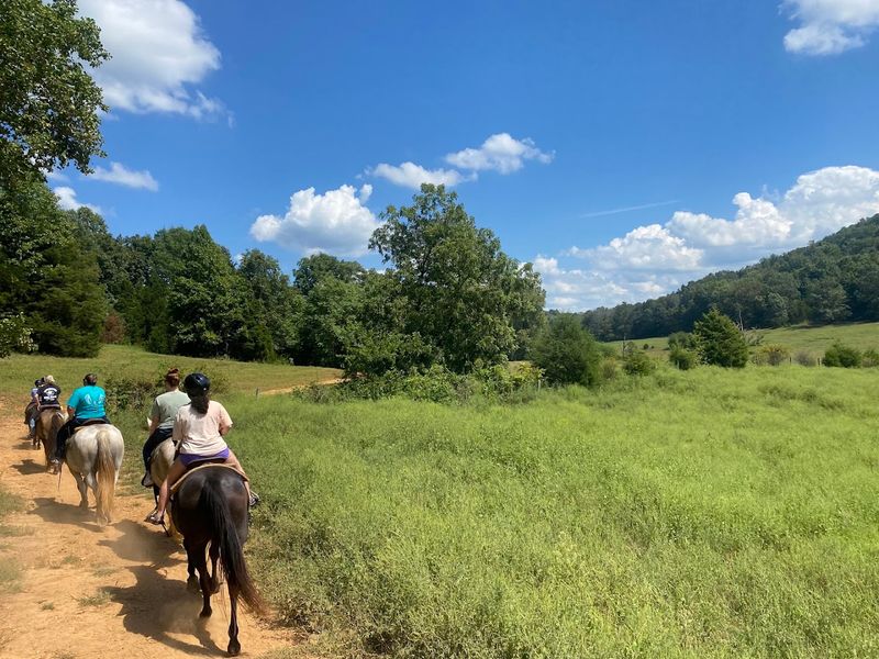 Jesse James Riding Stables