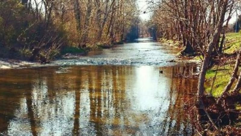 Station Camp Creek And The Creeks Near Irvine, Estill County