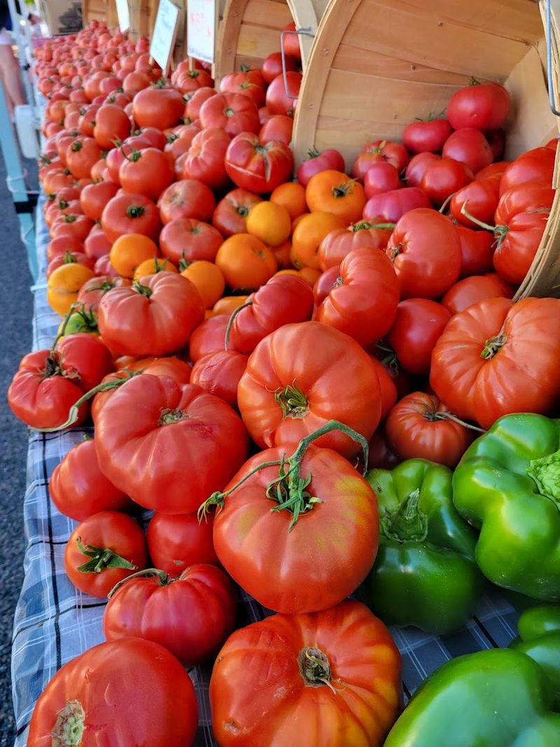 These Idaho Farms Grow The Kind Of Tomatoes Grocery Stores Cannot Compete With - Decor Hint Collings Family Farm