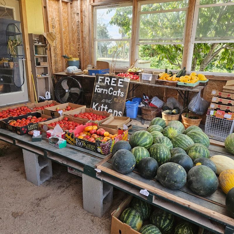 Windy Hill Farm, Nampa