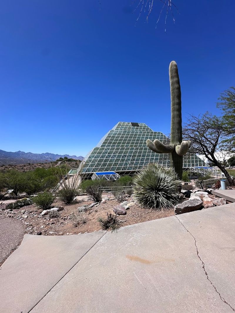 Tips For Making The Most Of Your Visit
