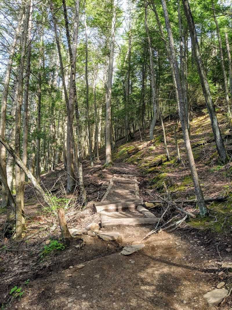 The Mysterious Connecticut Covered Bridge You Might Want To Avoid After Dark - Decor Hint Forest Trails Continue Beyond The Covered Span