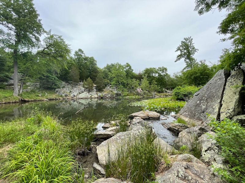 Hike The Billy Goat Trail At Great Falls, C&O Canal