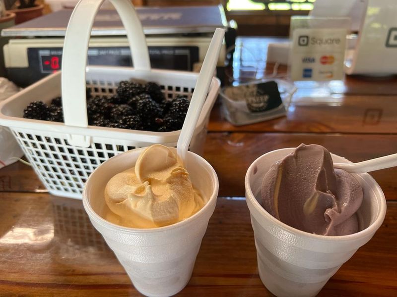 Homemade Soft-Serve Blueberry Ice Cream Worth The Drive