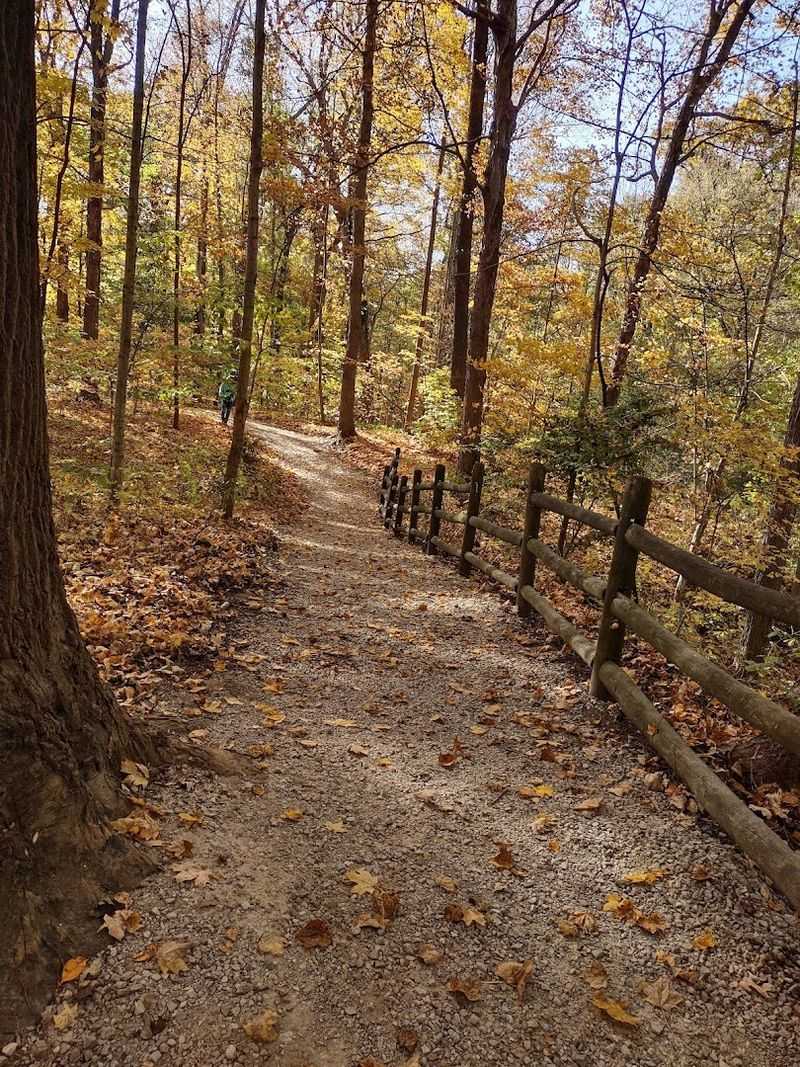 Few Walking Trails In Kentucky Feel As Calm And Peaceful As These 9 Senior-Friendly Gems - Decor Hint Yellow Creek Park