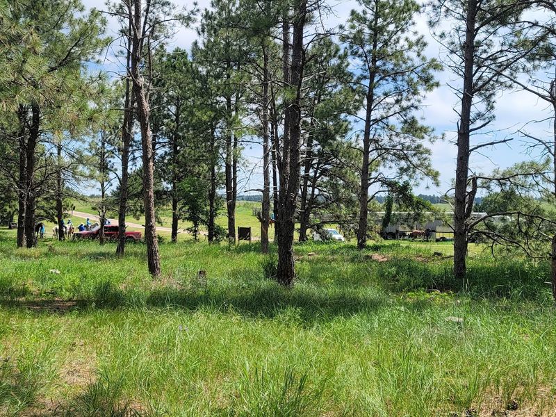 Natick Campground, near Halsey