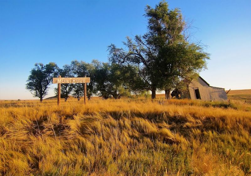Public Grassland Along Montrose Road Near Montrose