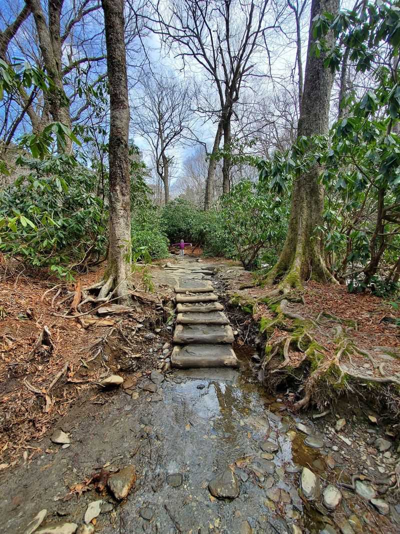 Alum Cave Trail, Great Smoky Mountains National Park