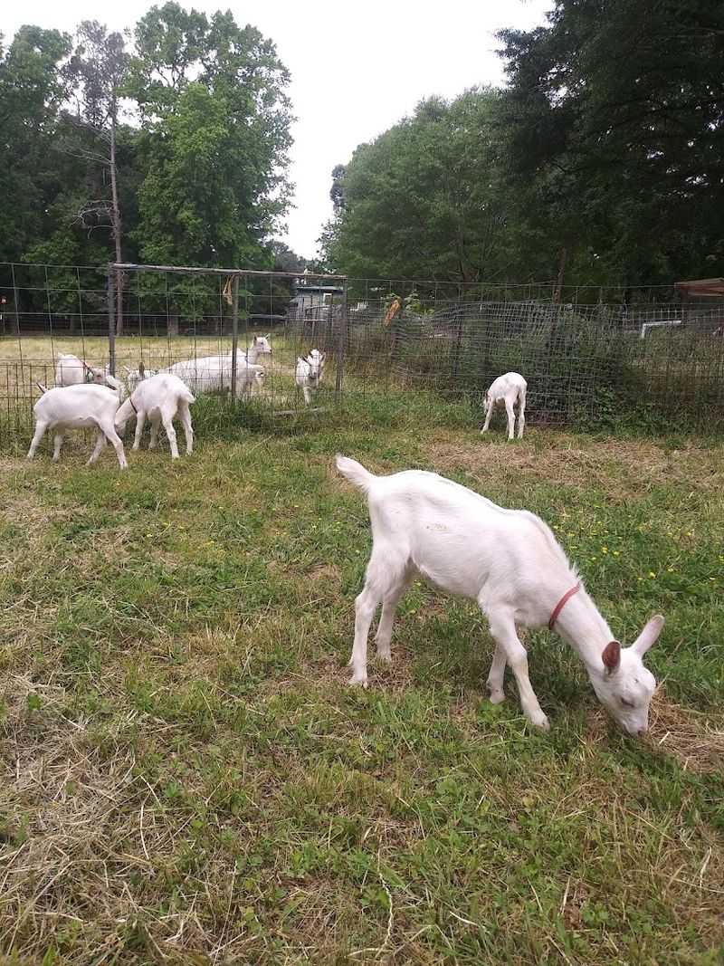 Decimal Place Farm, Conley