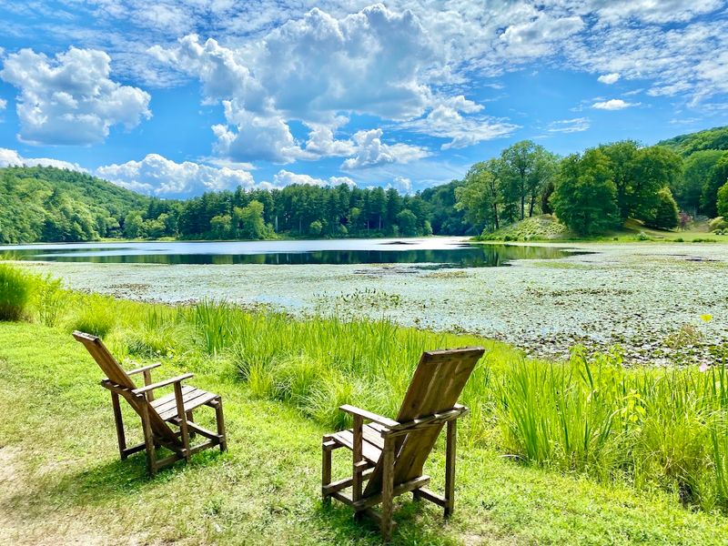 One Of New York's Most Stunning Botanical Gardens, And Barely Anyone Knows It's There - Decor Hint The Seasonal Shifts That Make Every Visit Feel New