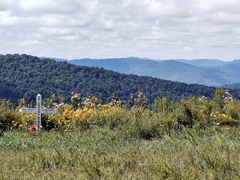 LaFollette