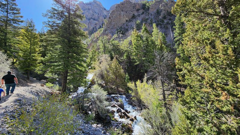 Mackay Gets A Hidden Summer Trail Worth Finding