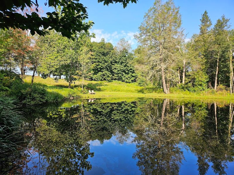 This Spot In Connecticut Is The Kind Of Place That Makes You Slow Down Instantly - Decor Hint A Quiet Escape In The Hills