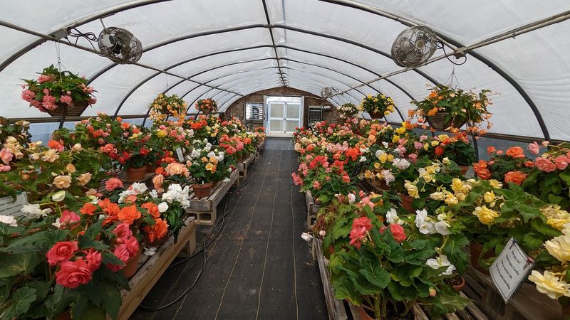 Garden Experts Guide Every Purchase