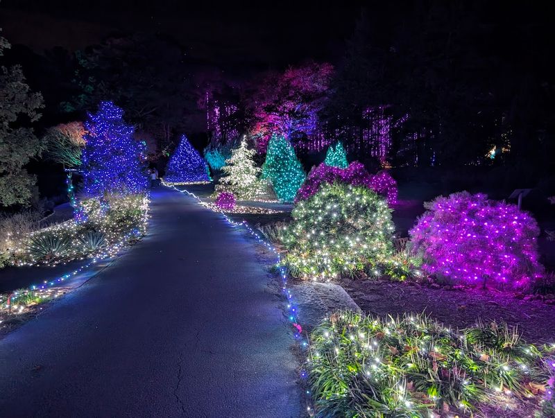 The Garden Of Lights Holiday Magic