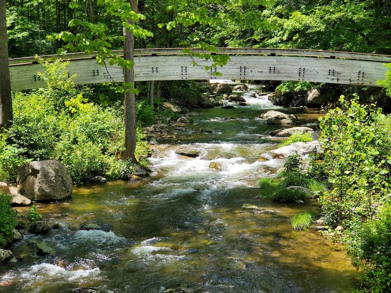 Nelson County Scenic Loop
