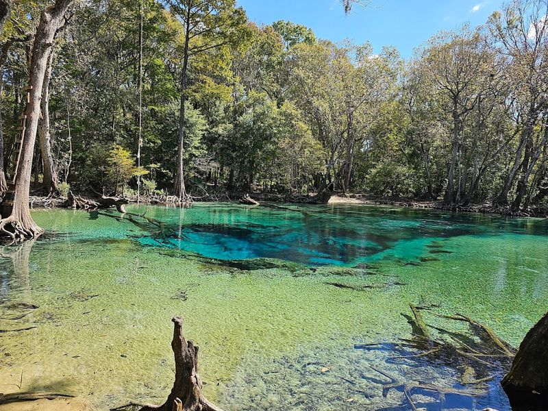 Cypress Springs, Vernon