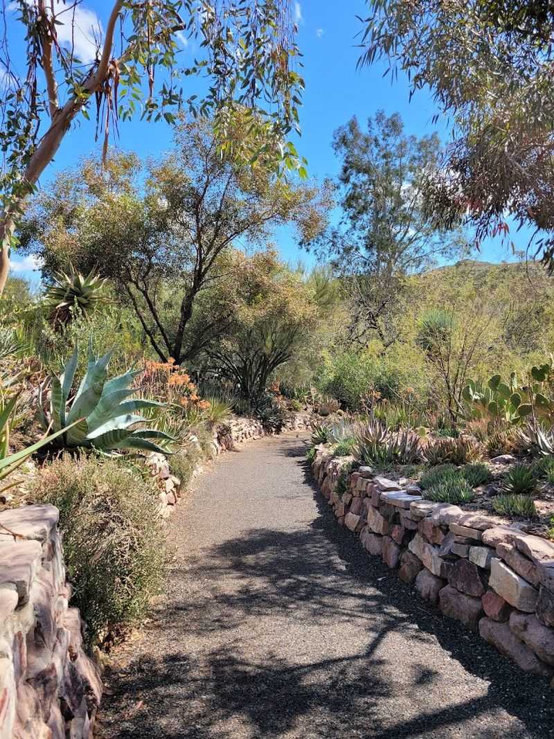 Boyce Thompson Arboretum