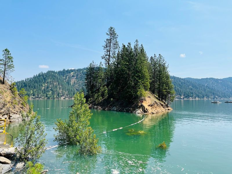 Dworshak Reservoir Shoreline