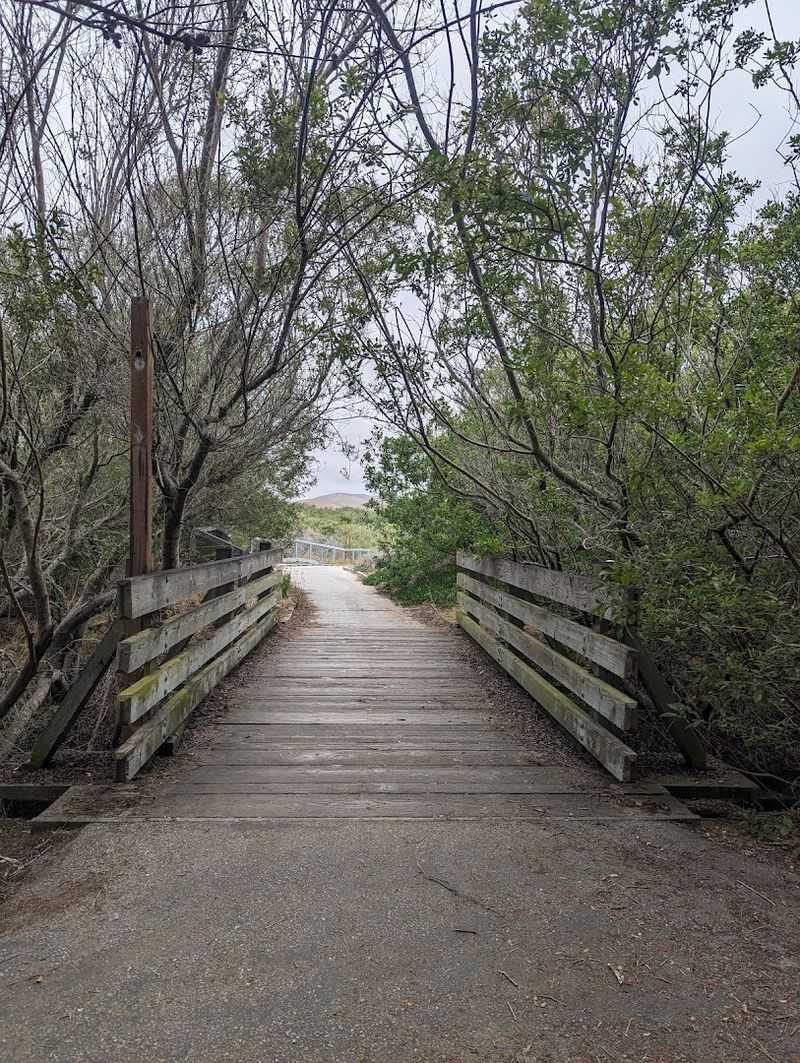 Cloister Walk, Morro Bay