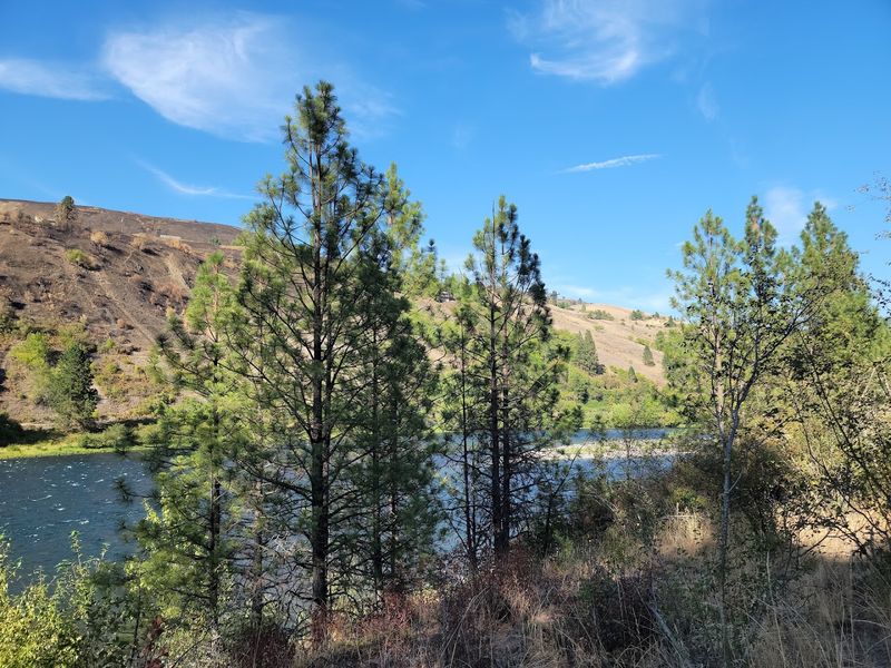 9 Idaho Small Towns Where Retirees Can Live Well Without Overspending - Decor Hint Orofino