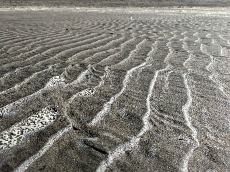This San Francisco, California Beach Reveals A 19th-Century Clipper Shipwreck At Extremely Low Tide - Decor Hint Another Ship Wrecked In Nearly The Same Spot