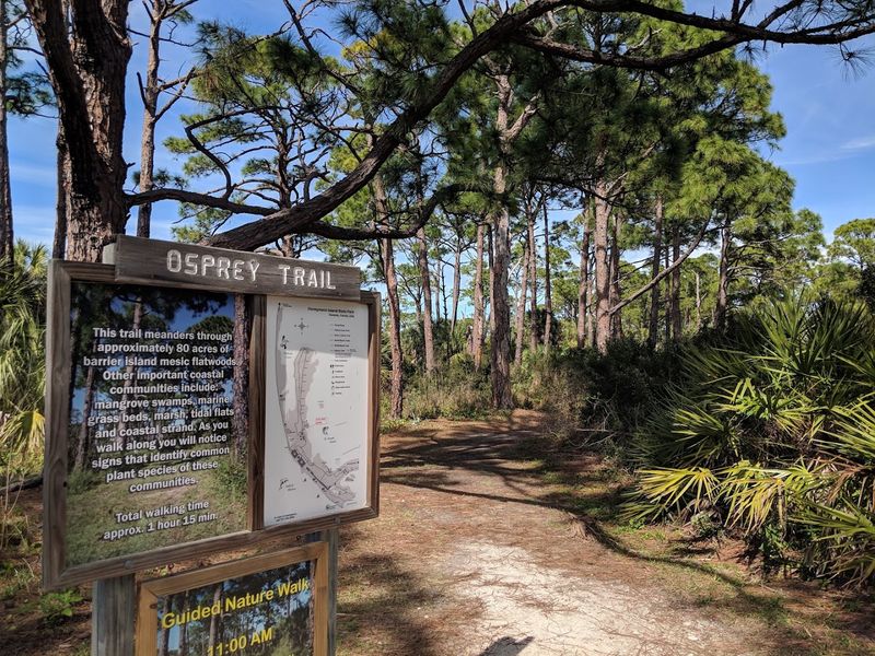 13 Florida Hikes Under Five Miles That Reward You With Amazing Views - Decor Hint Osprey Trail, Honeymoon Island State Park, Dunedin