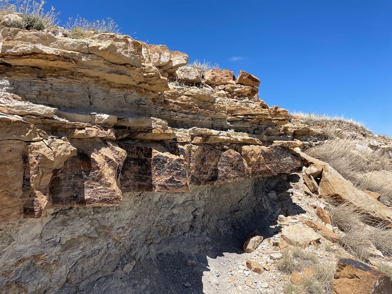 Clayton Lake State Park And Dinosaur Trackways