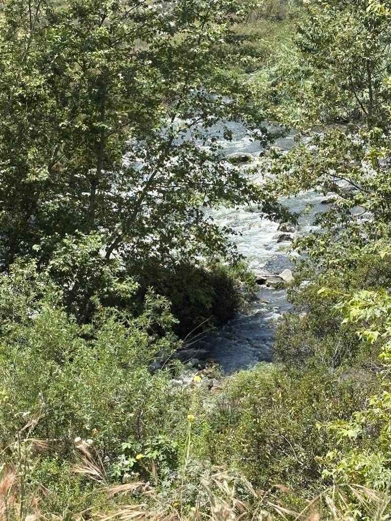 Whittier Narrows Creates One Of The Greenest Sections