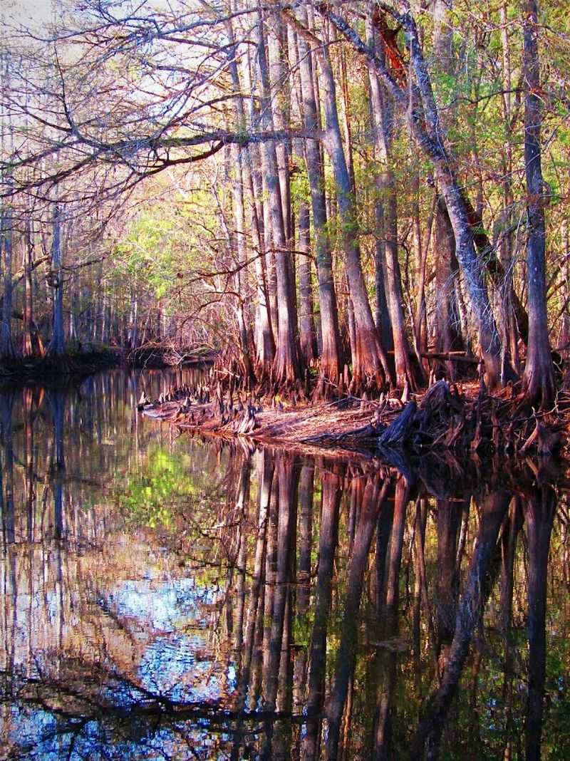 Withlacoochee River, Brooksville