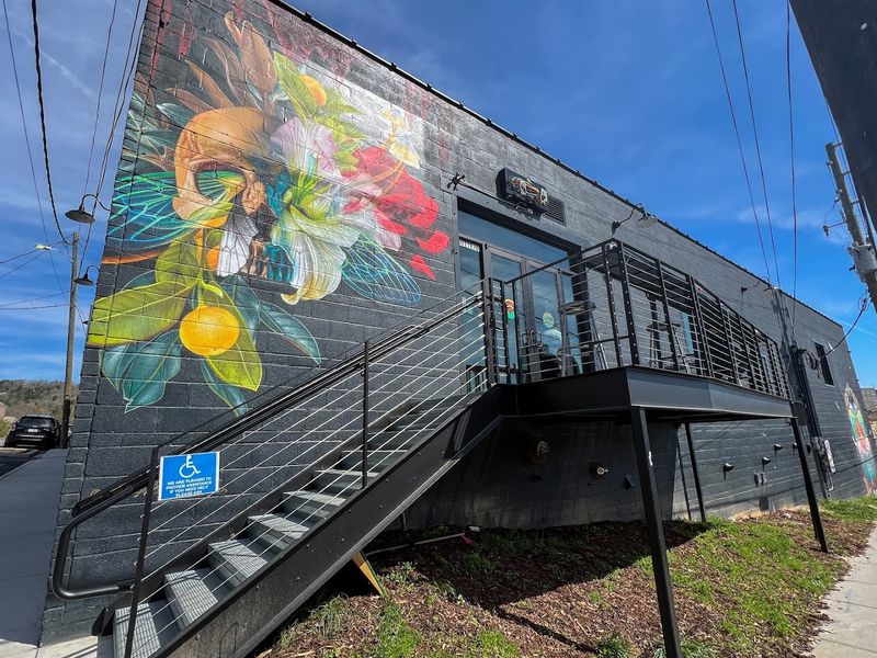 Feel The Asheville Energy Around The South Slope Stop
