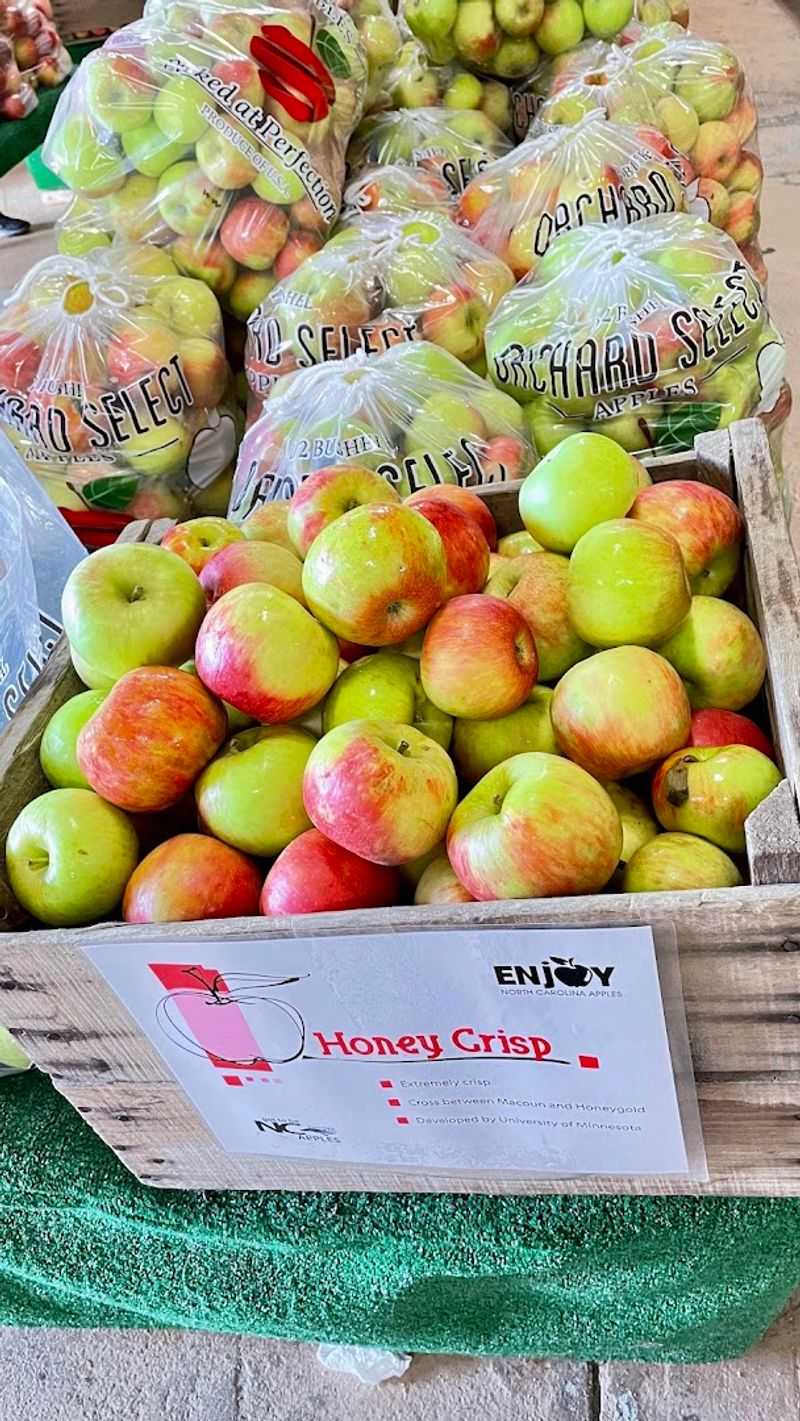 Check The Apple House Before Choosing Your Favorite Variety