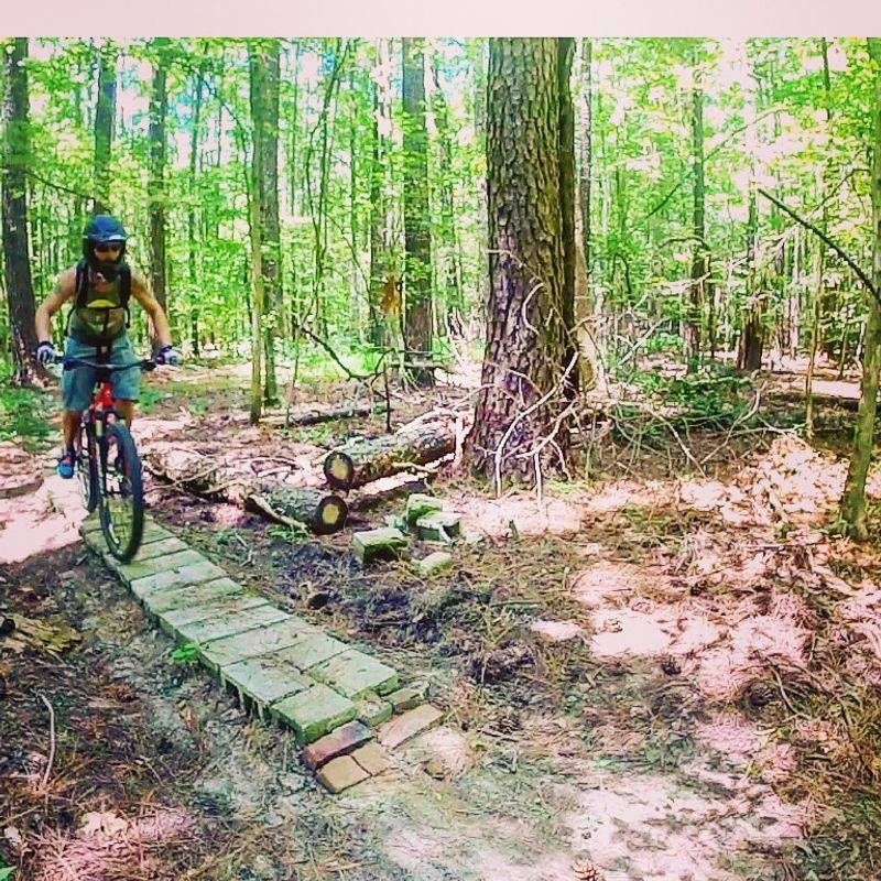 Follow The Trails When You Need A Break From The Beach