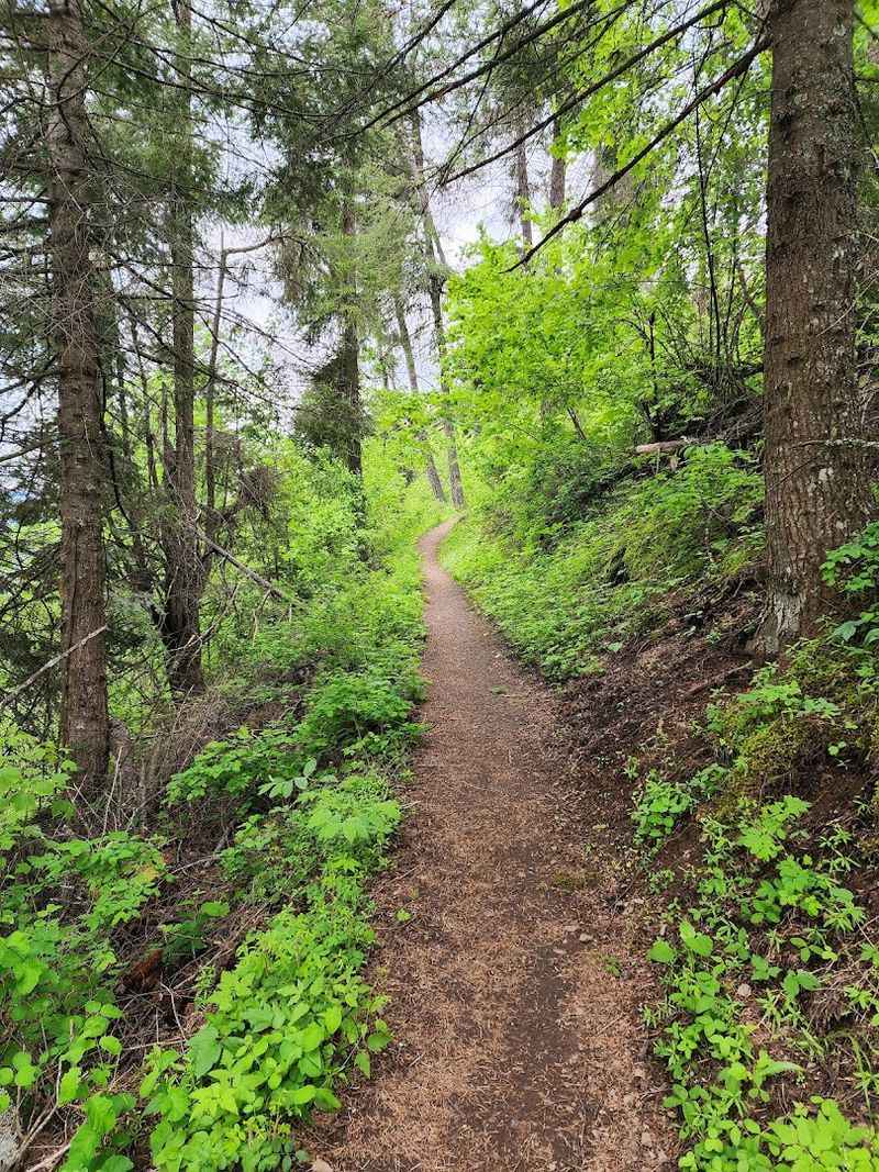 Mineral Ridge National Recreation Trail